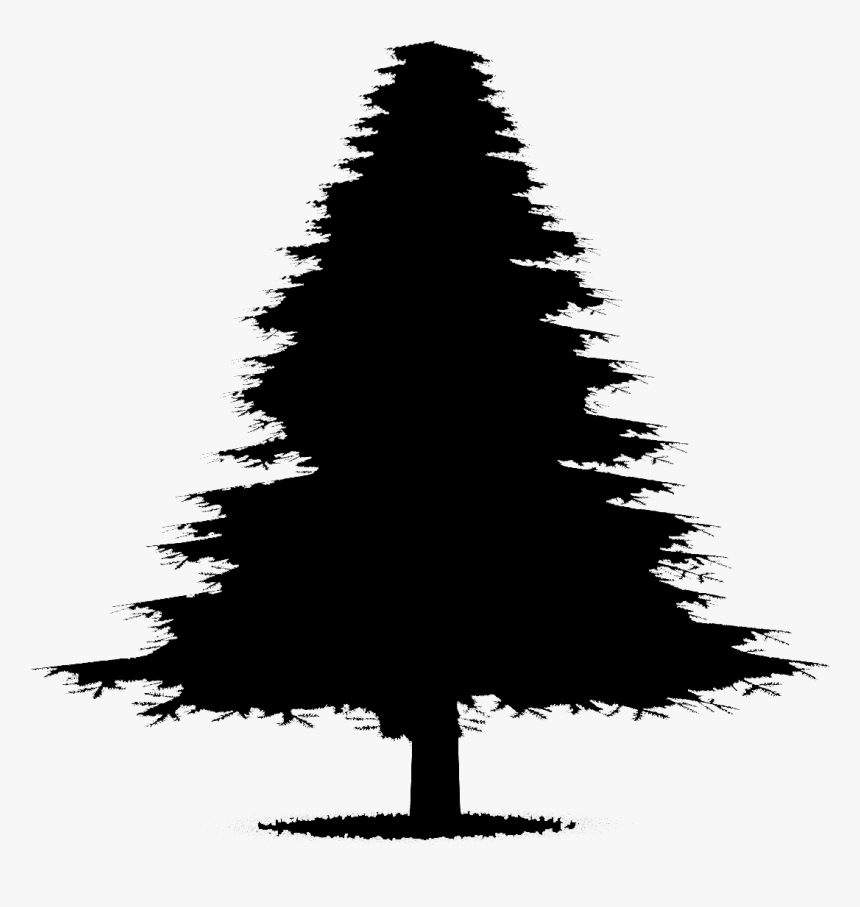 Transparent Pine Tree Silhouette Png - Christmas Tree, Png Download, Free Download