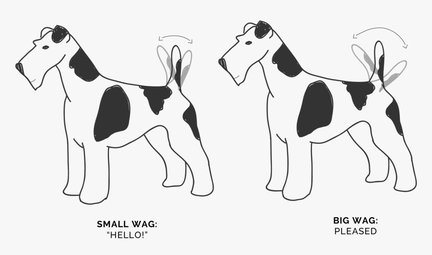 Ancient Dog Breeds, HD Png Download, Free Download