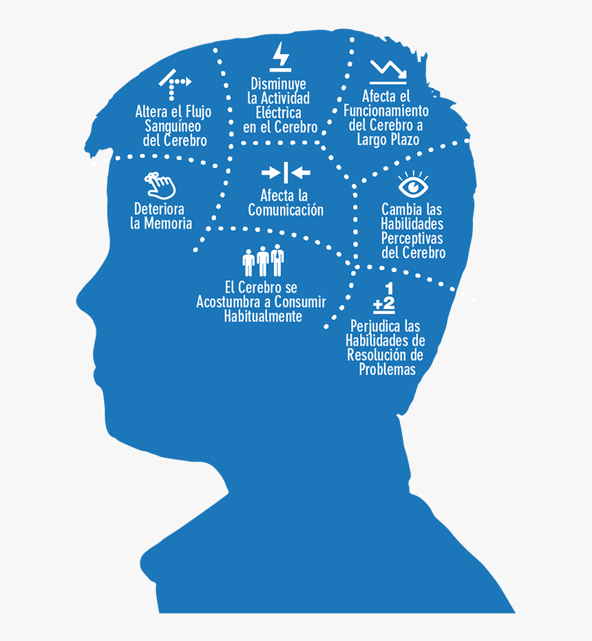 Effect Of Drugs On Brain, HD Png Download, Free Download
