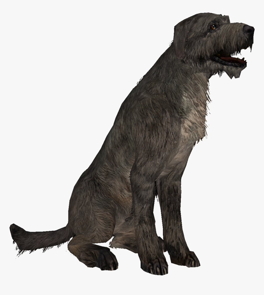 Dog Png Hd - Irish Wolfhound Dog Png, Transparent Png, Free Download