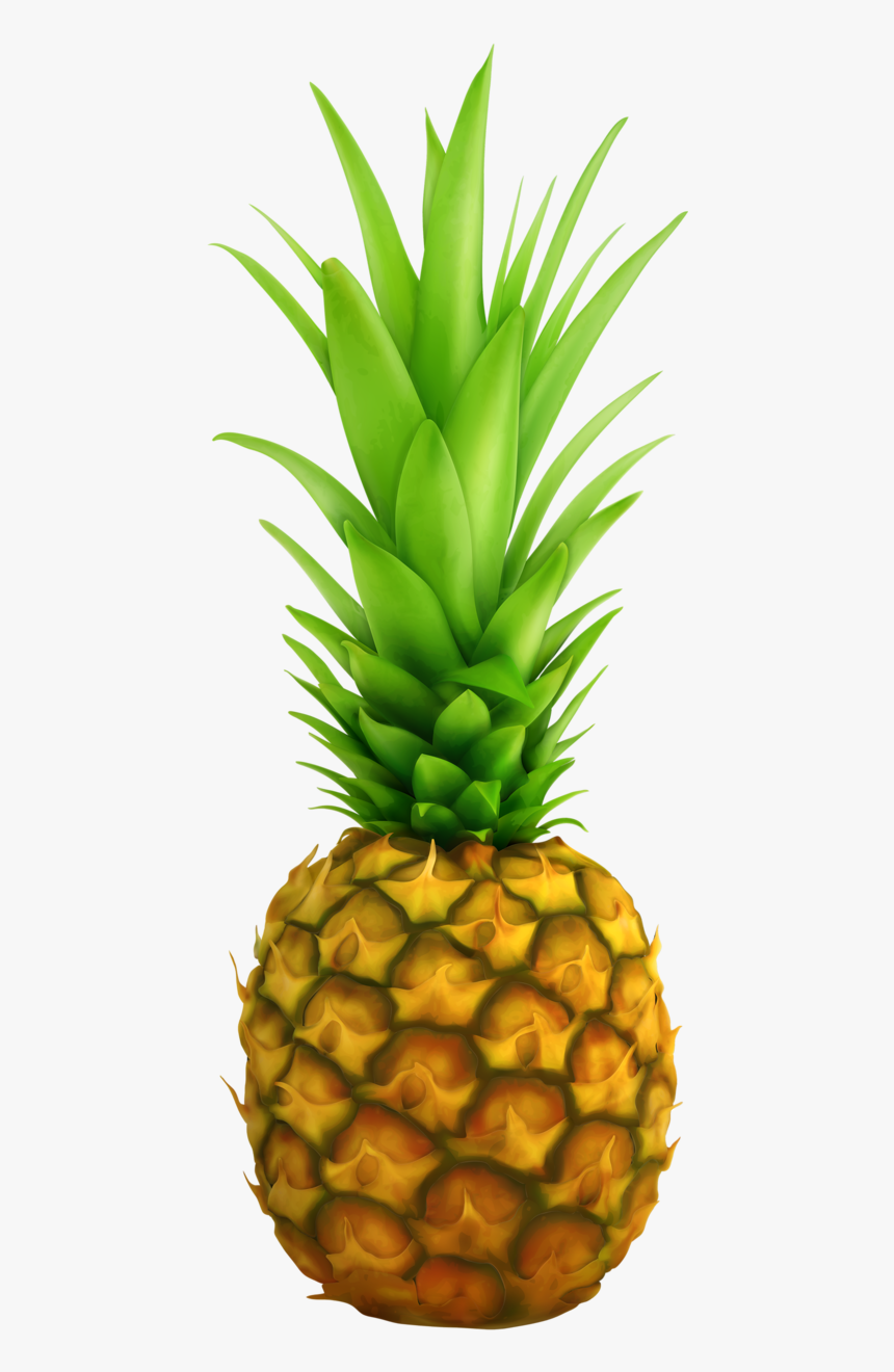 Pineapple Top, HD Png Download, Free Download