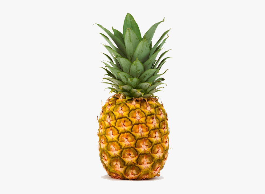 One Pineapple Fruit, HD Png Download, Free Download