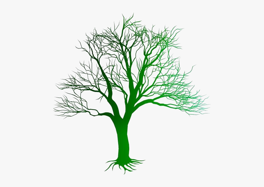 Colorful Tree Without Leaves Png - Kill A Mockingbird Tree, Transparent Png, Free Download