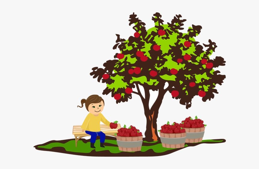 Apple Tree Colorful Clip Art For The Fall Season Clipart - Autumn Fruit Tree Clipart, HD Png Download, Free Download