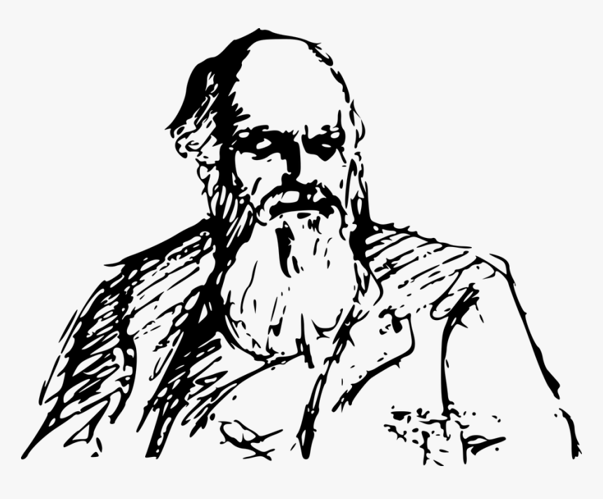 Darwin - Charles Darwin Clipart Png, Transparent Png, Free Download