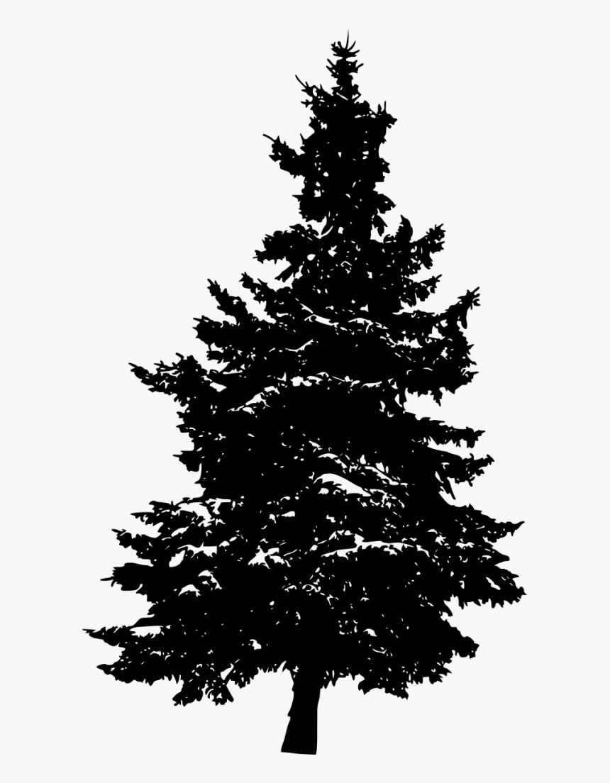 Silhouette Pine Tree Png, Transparent Png, Free Download