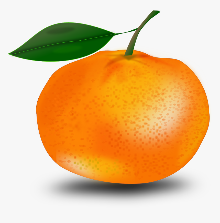 Imagenes De Mandarina Animado, HD Png Download, Free Download
