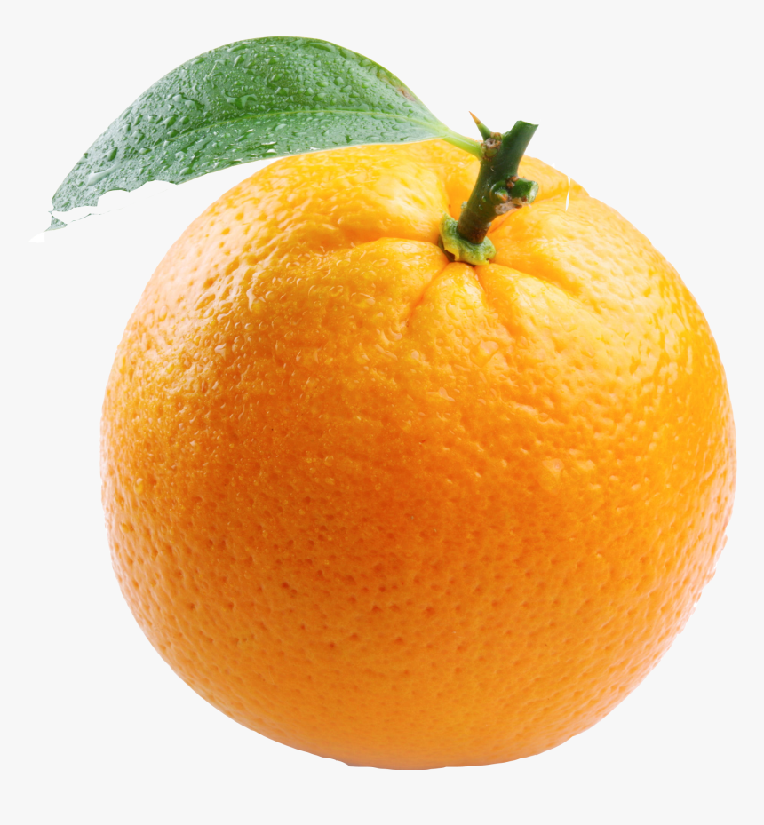 Mandarin Orange Png Transparent Image - Orange With White Background, Png Download, Free Download