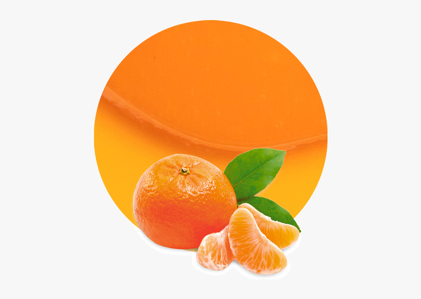 Mandarin Png Download Image - Mandarins Transparent Png, Png Download, Free Download