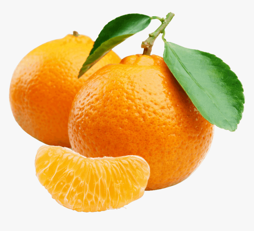 Mobirise - Mandarin Orange, HD Png Download, Free Download
