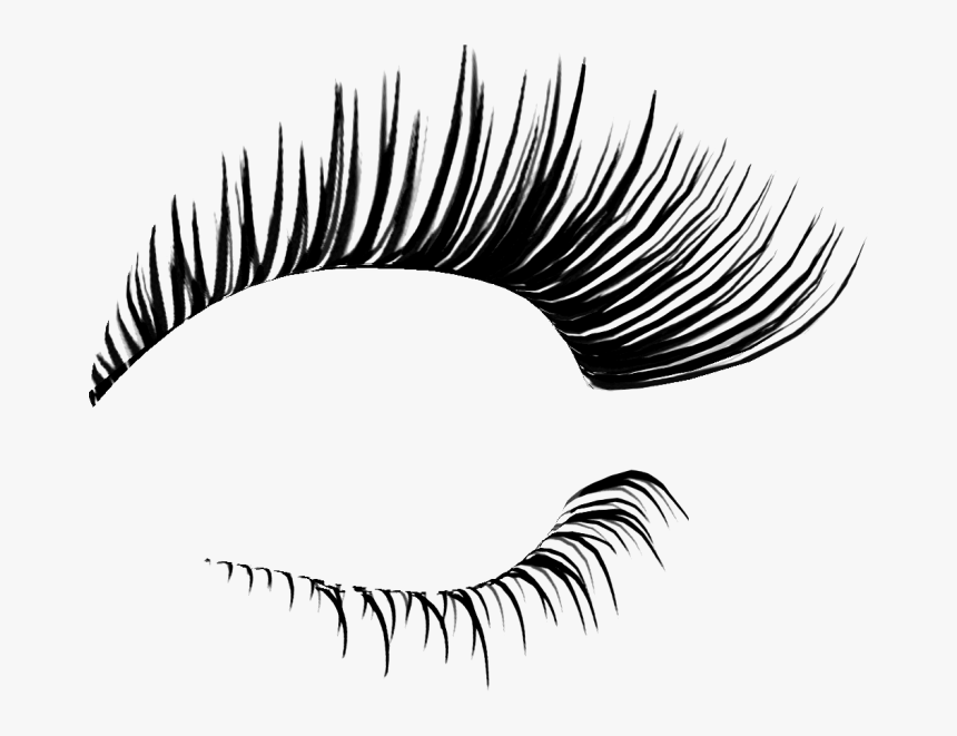 Transparent Eyelash Vector Png - Eyelash Png, Png Download, Free Download