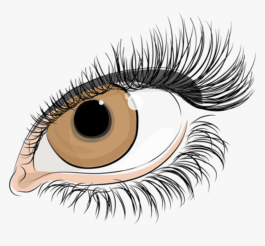 The Eye Of Women, Eyelashes, The Iris Of The Eye, Pupil - Lashes Eyes Transparent Background, HD Png Download, Free Download