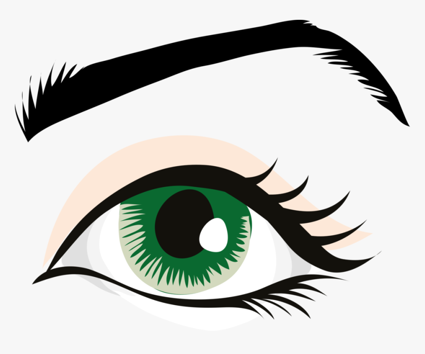 Eyelash Extensions,eye,organ - Eyebrow Clipart, HD Png Download, Free Download