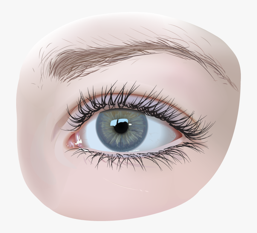 Transparent Eyelash Clipart - Eye Png, Png Download, Free Download