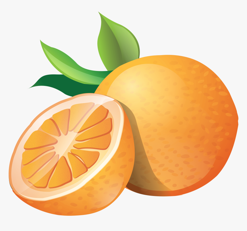 Orange Vector Mandarin - Clipart Fruit Orange Png, Transparent Png, Free Download