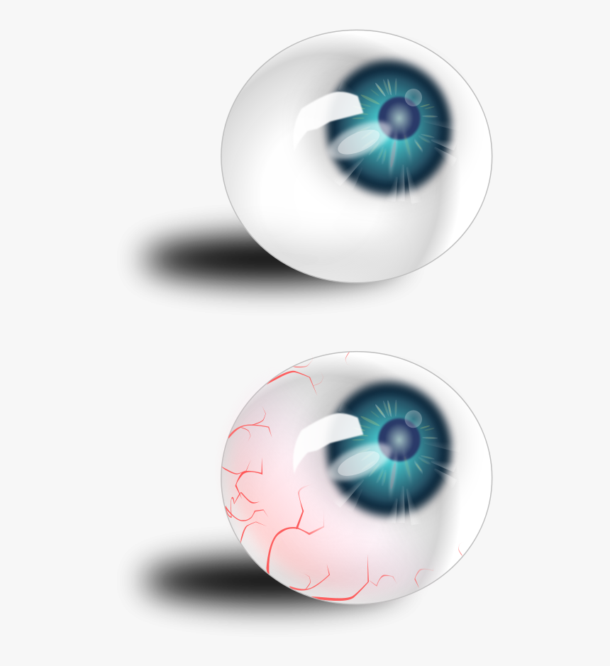 Transparent Eyelash Vector Png - Gambar Bola Mata Png, Png Download, Free Download