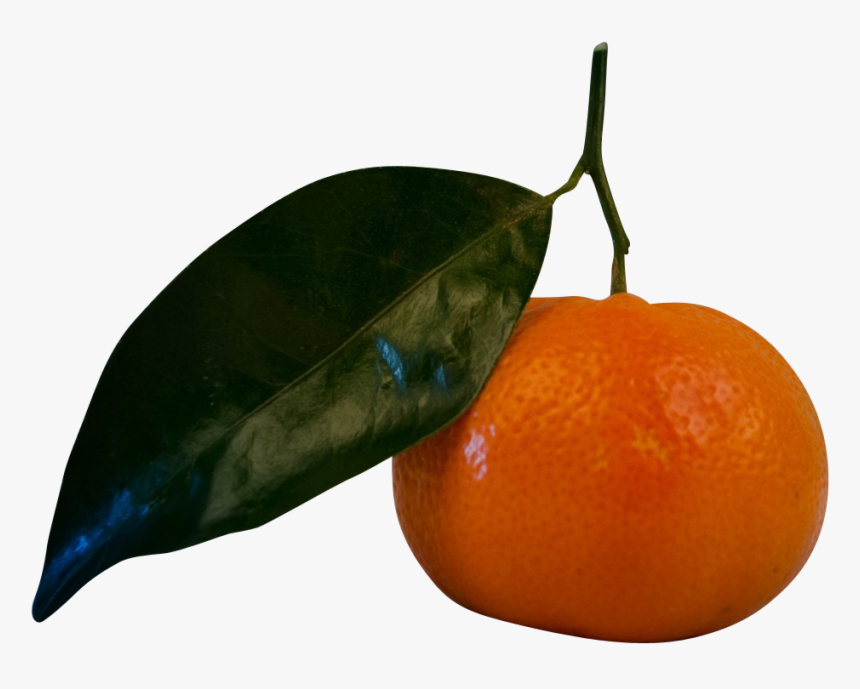 Tangerine, HD Png Download, Free Download