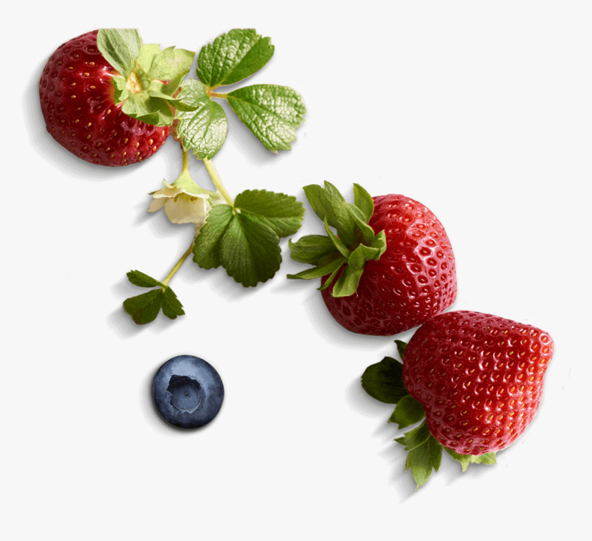 Fair Trade Driscoll's Berries, HD Png Download, Free Download