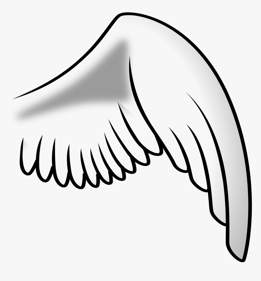 Wing Angel Right Free Picture - Bird Wing Clip Art, HD Png Download, Free Download