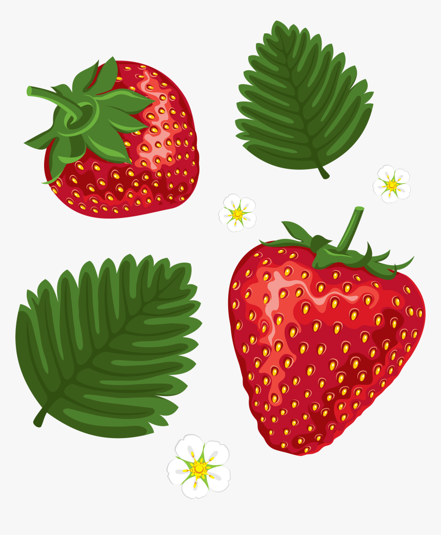 Strawberry Leaves Clip Art, HD Png Download, Free Download