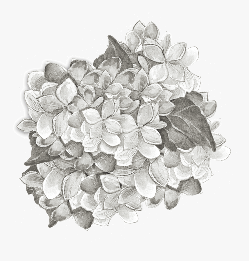 And Plant Petal Grey Cultivation Black Pattern Clipart - Dime, HD Png Download, Free Download