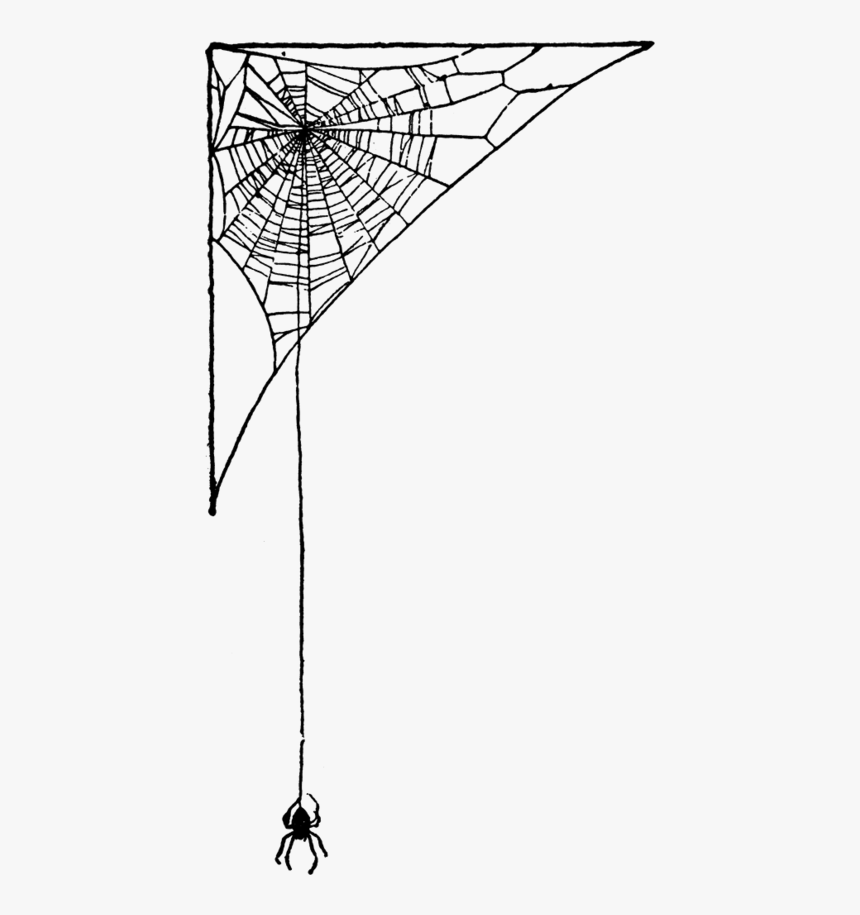 Index Of Images Thumb 2 22 Spider Web Png Birthday - Spider Web Drawing Corner, Transparent Png, Free Download