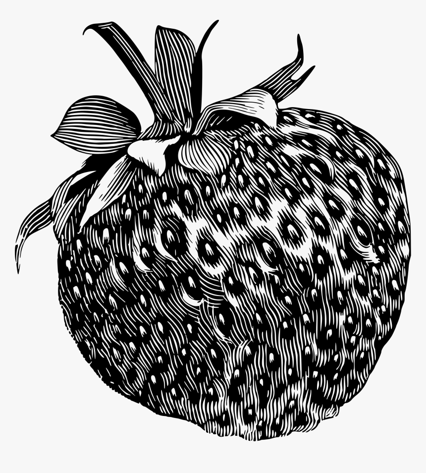 Strawberry 2 Clip Arts - Drawings Of Shaded Fruit, HD Png Download, Free Download