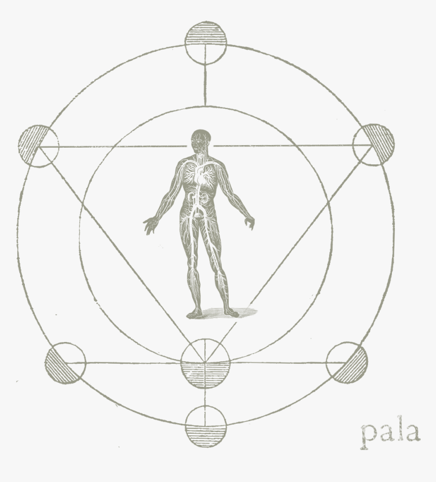 Pala Band Logo - Sketch, HD Png Download, Free Download