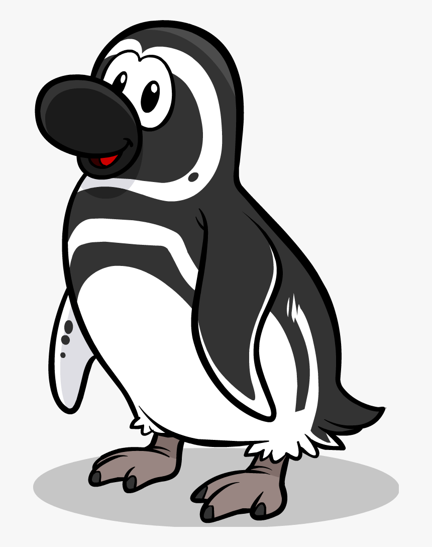 Club Drawing Penguin - Magellanic Penguin Clip Art, HD Png Download, Free Download