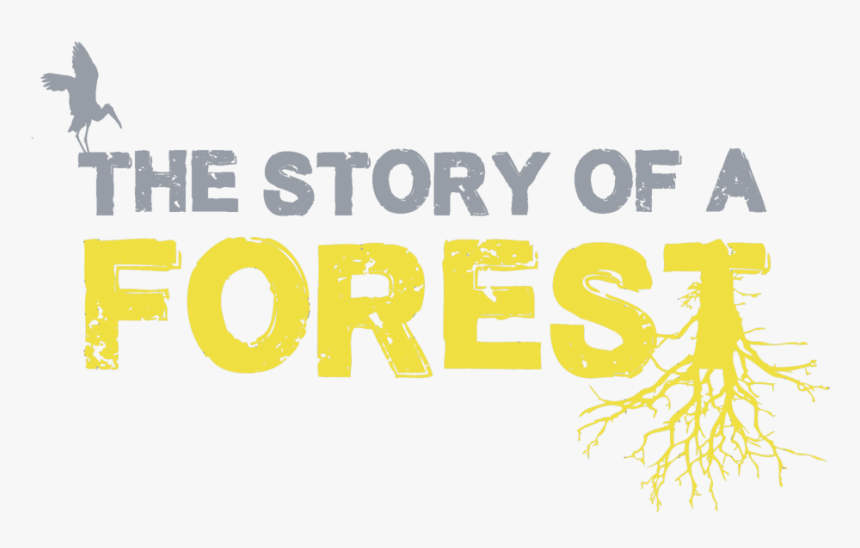 The Story Of A Forest Logo Rev2, HD Png Download, Free Download