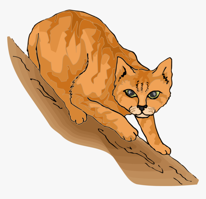 Wild Cat,carnivoran,lion, HD Png Download, Free Download