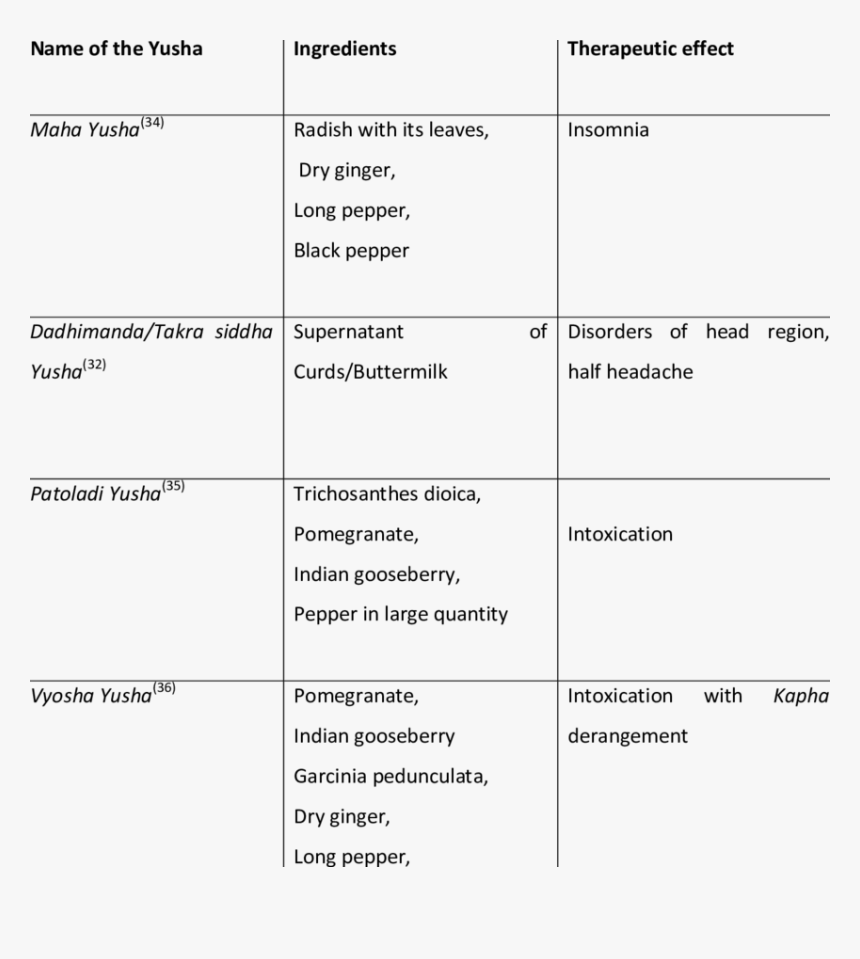 Nervous System Png, Transparent Png, Free Download