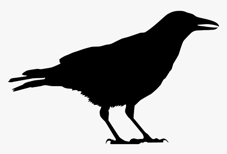 American Crow Common Raven All About Birds, HD Png Download, Free Download