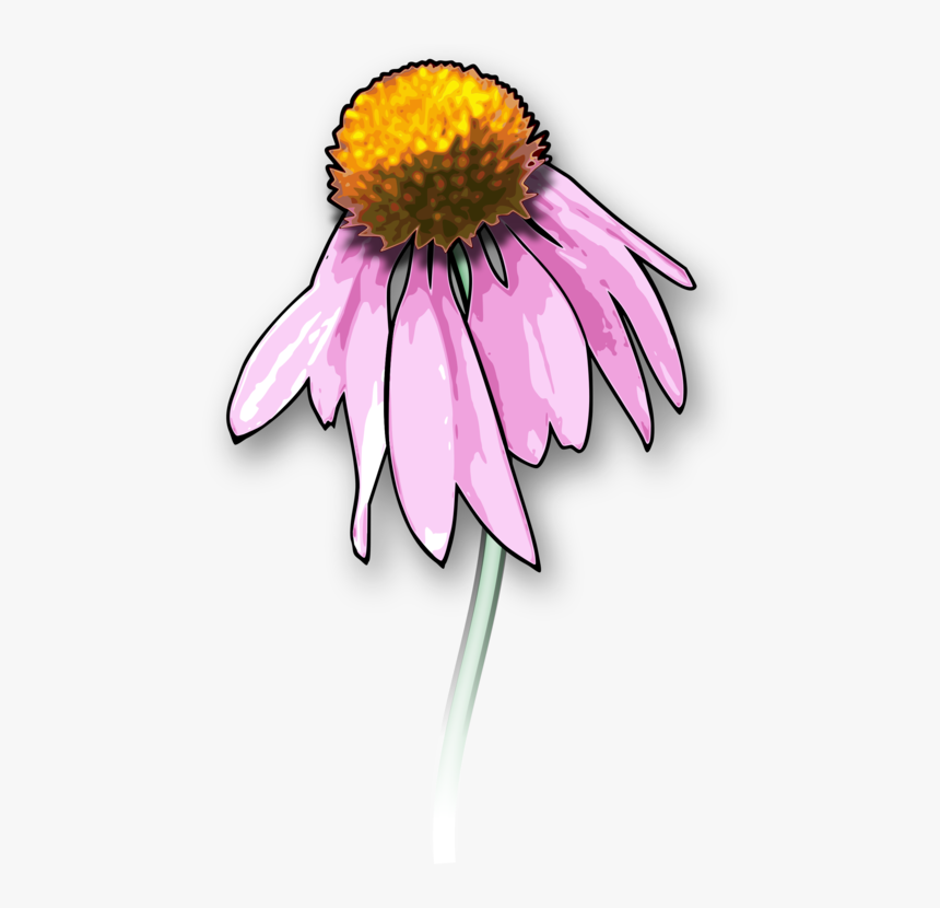 Collection Of Free Daisy Drawing Dead Flower Download, HD Png Download, Free Download