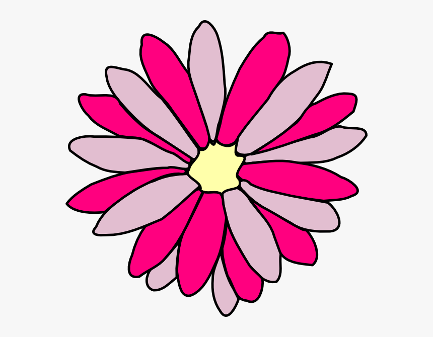 Pink Daisy Png, Transparent Png, Free Download