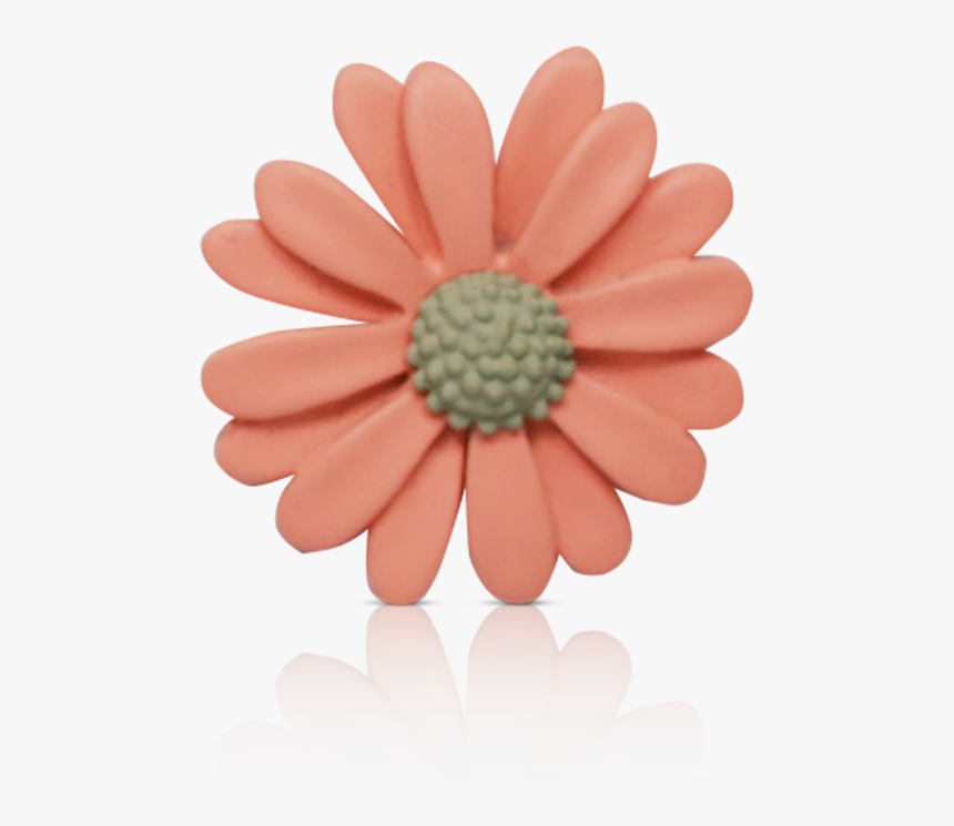 Pink Daisy Png, Transparent Png, Free Download