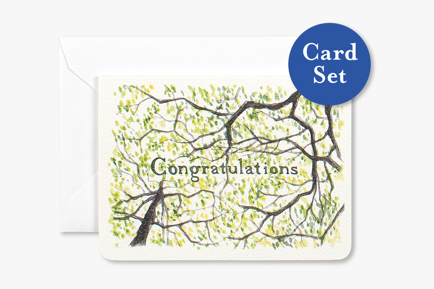 Congratulations Gleditsia Mini Card Set Of, HD Png Download, Free Download