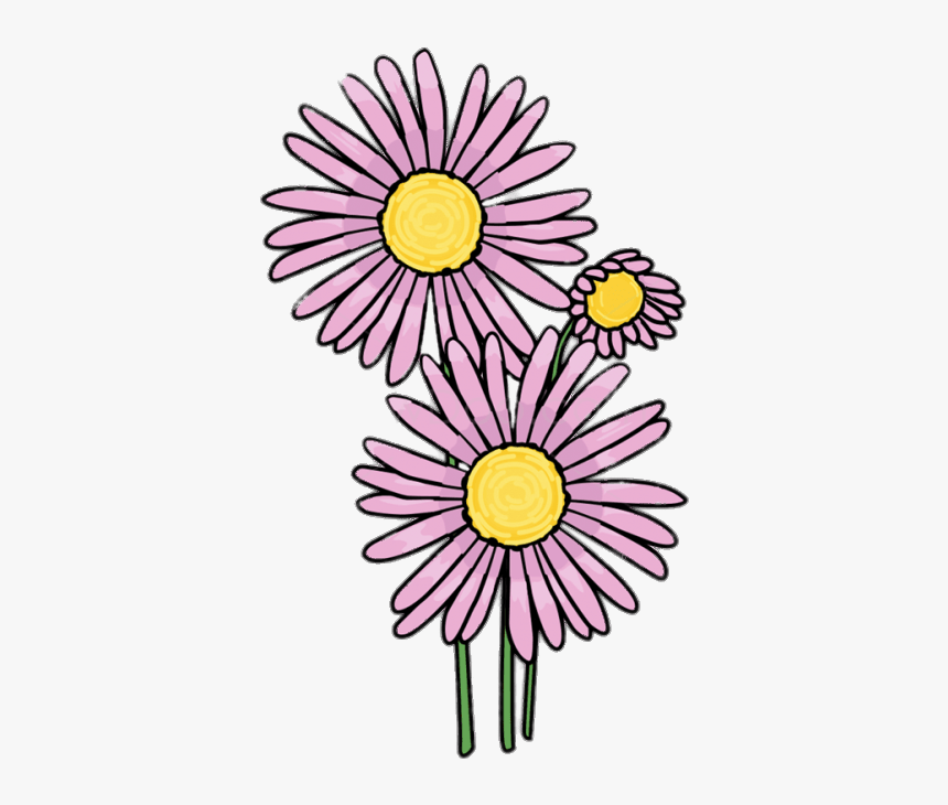 Pink Aster Clipart, HD Png Download, Free Download