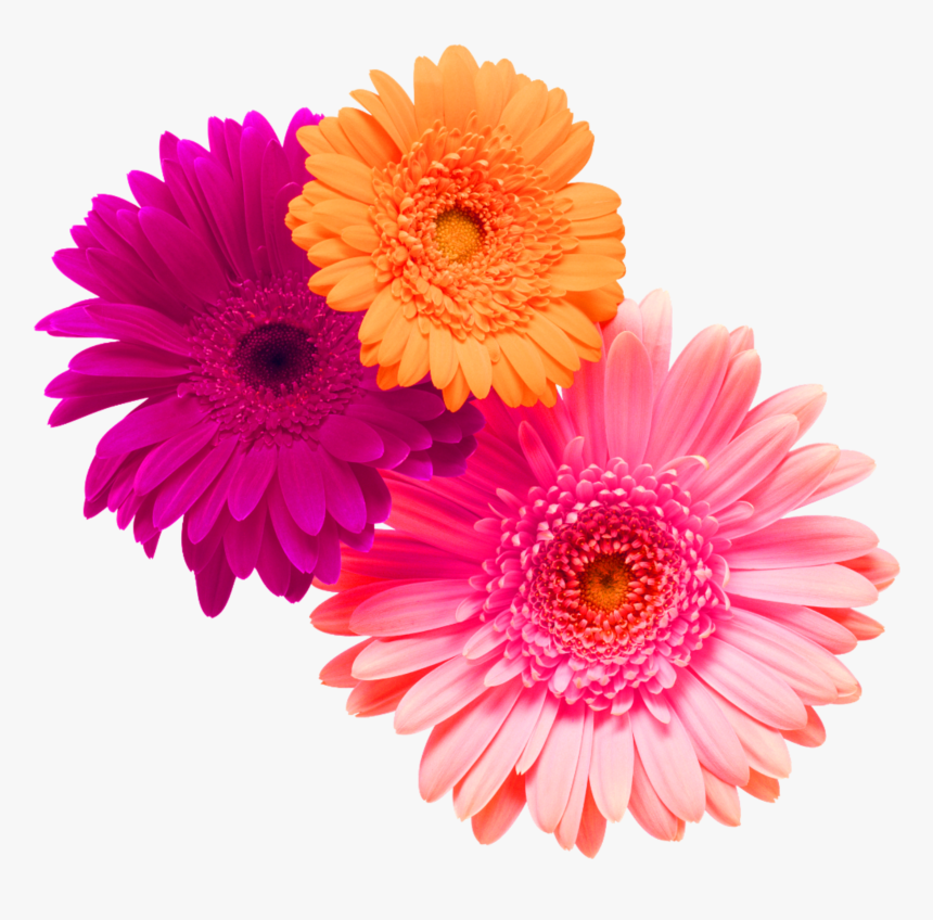 #flower #flowers #bouquet #bouquetflower #pink #orange, HD Png Download, Free Download