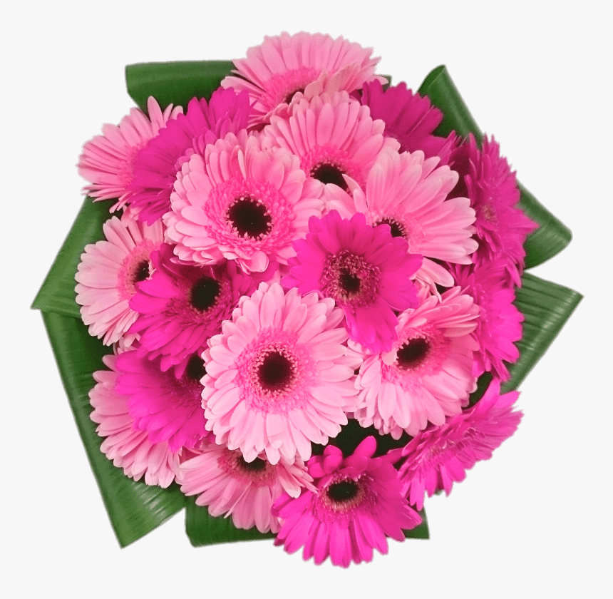 Pink Gerbera Bouquet, HD Png Download, Free Download
