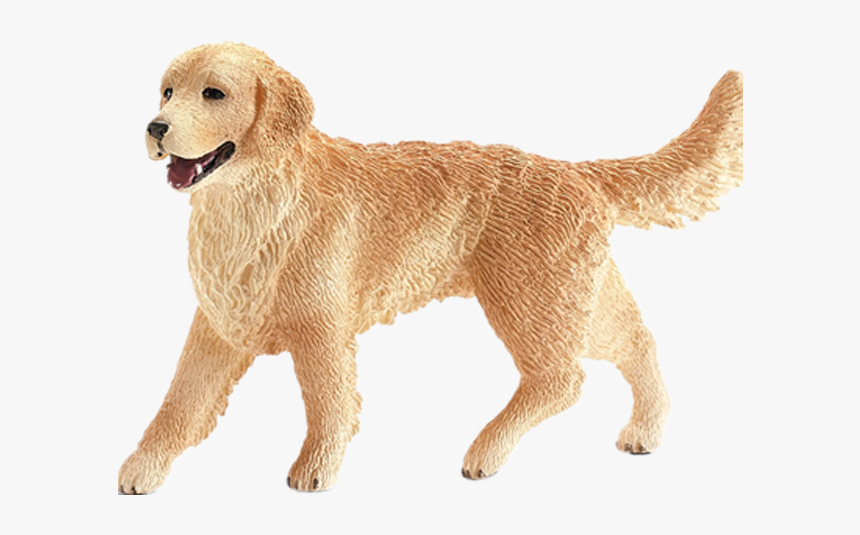 Golden Retriever Puppy Png, Transparent Png, Free Download