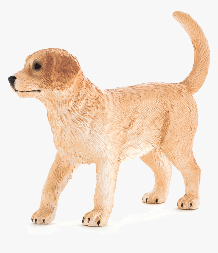 Transparent Golden Retriever Puppy Png, Png Download, Free Download