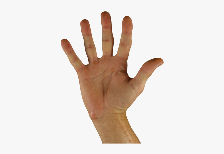 Hola, Saludo, Mano, Dedo, Cinco, Lenguaje De Señas, HD Png Download, Free Download