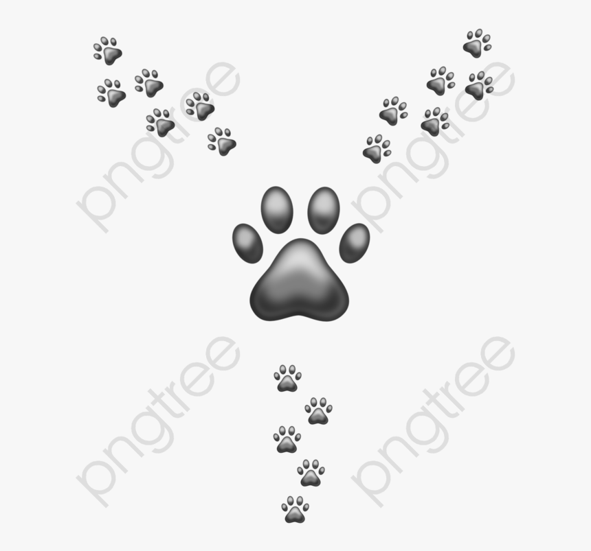 Bear Paw Print Transparent, HD Png Download, Free Download