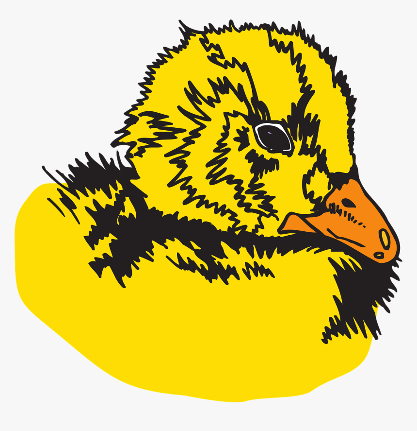 Duckling Svg Clip Arts, HD Png Download, Free Download