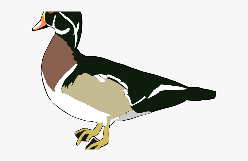 Transparent Free Duckling Clipart, HD Png Download, Free Download