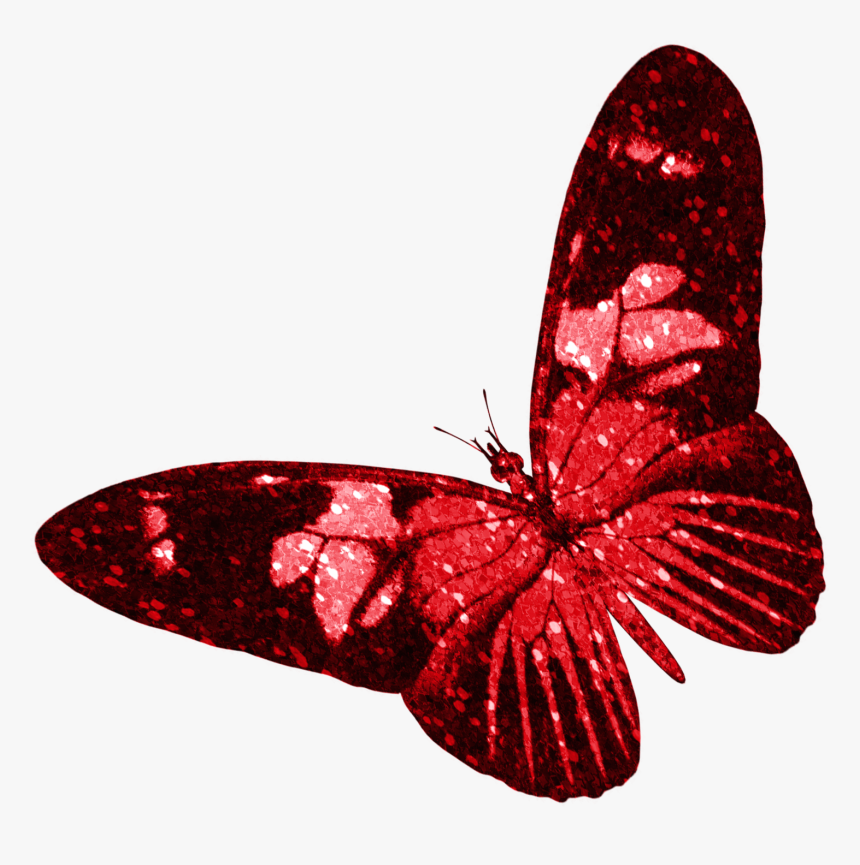 Butterfly Insect Red, HD Png Download, Free Download