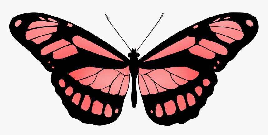 Butterfly 15 Clip Arts, HD Png Download, Free Download