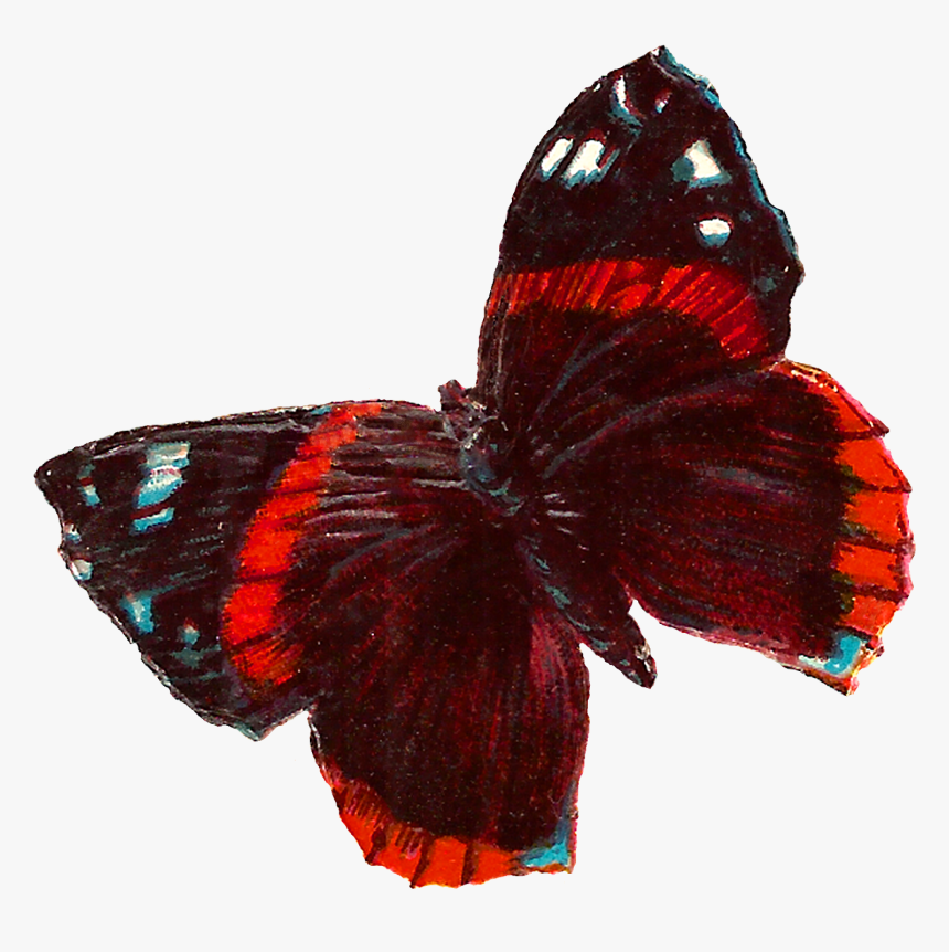 Red Butterfly Png, Transparent Png, Free Download