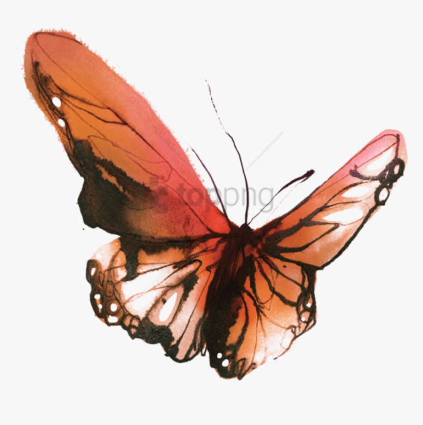 Tattly Temporary Tattoos, Watercolor Butterflies ,, HD Png Download, Free Download